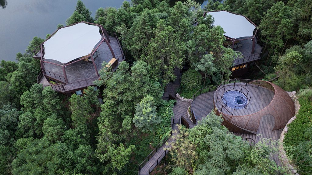 ZYJ Treehouse Resort Hotel project view 2